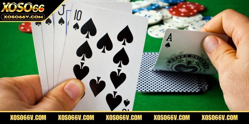 Thuật ngữ game bài từ A–Z – Bí kíp sinh tồn cho mọi tay chơi